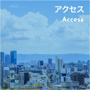 アクセス Access